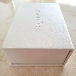 Pandora keychain and cleaning kit.